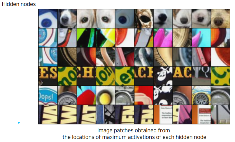 maximally_activating_patches