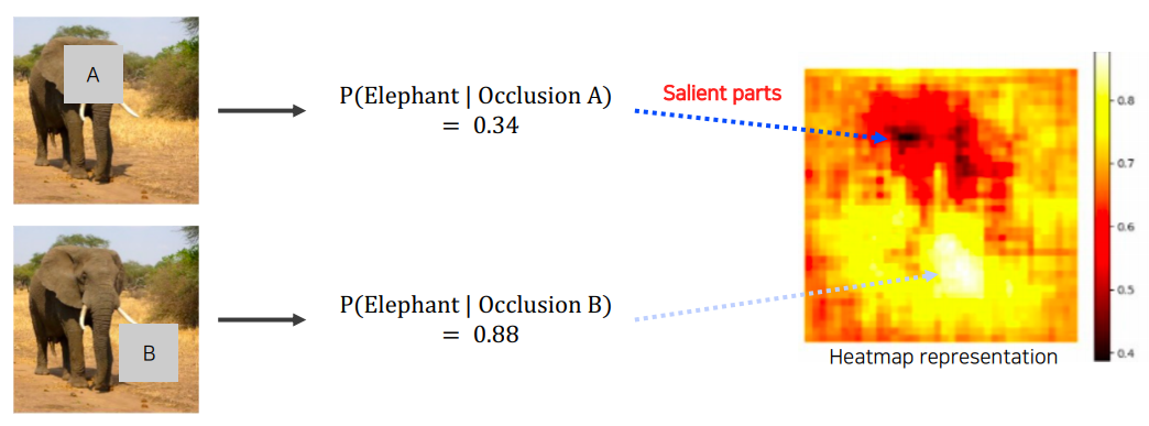 occlusion_experiments