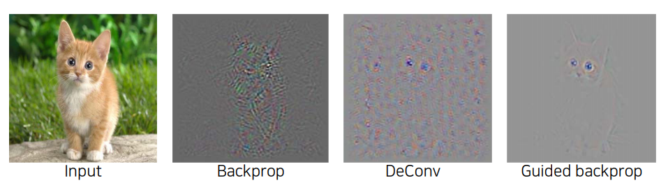 guided_backpropagation