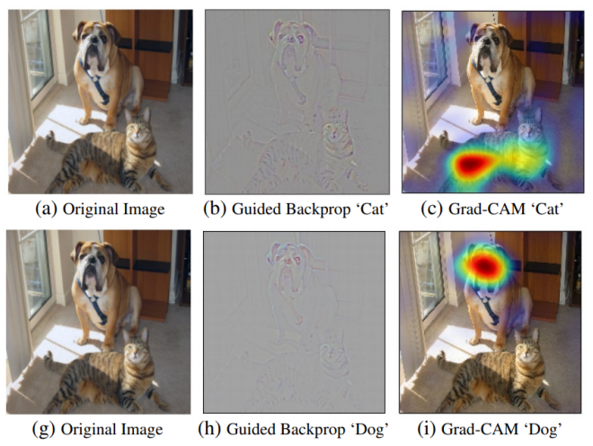 grad_CAM_example