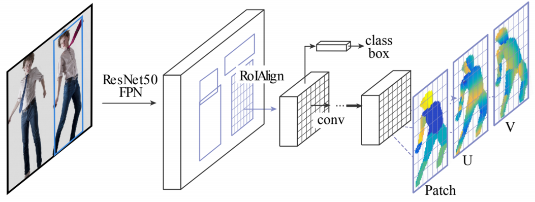 densepose_architecture
