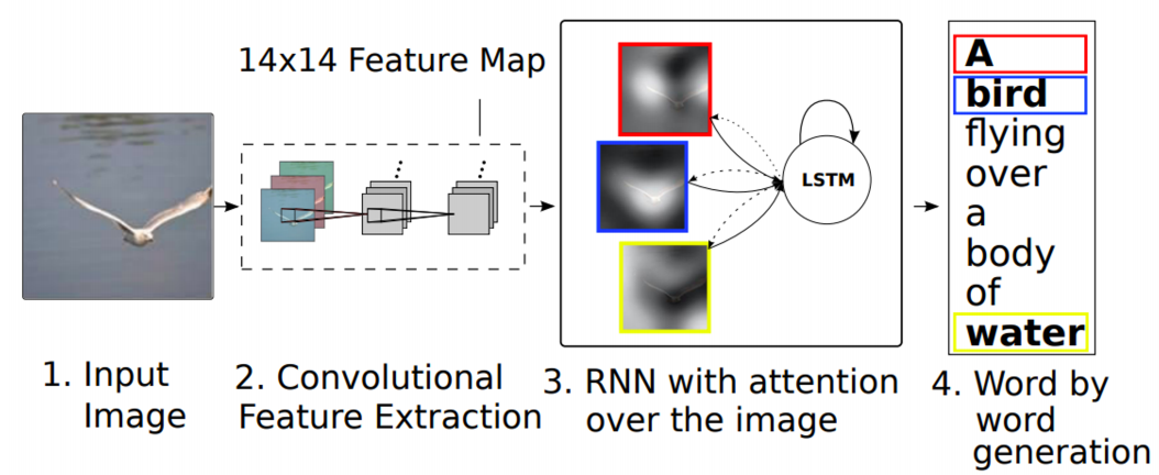 show_attention_and_tell